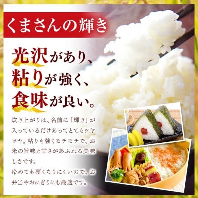 【毎月定期便】熊本県産 くまさんの輝き 無洗米 10kg全6回