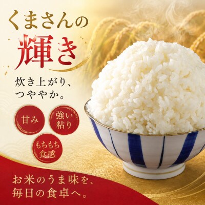 【毎月定期便】熊本県産 くまさんの輝き 無洗米 10kg全6回