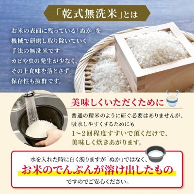 【毎月定期便】熊本県産 くまさんの輝き 無洗米 10kg全6回