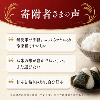 【毎月定期便】熊本県産 くまさんの輝き 無洗米 10kg全6回