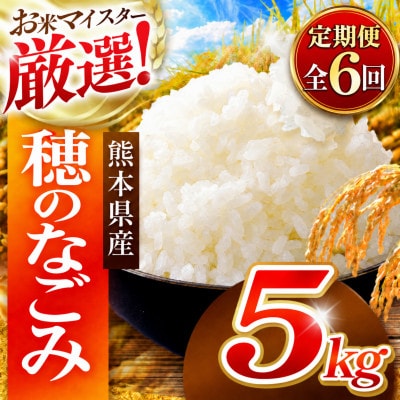 【毎月定期便】熊本県 穂のなごみ 白米 5kg (ブレンド米)全6回