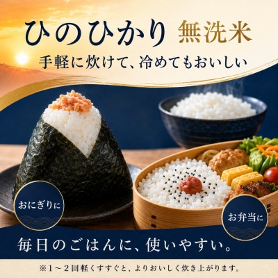 【毎月定期便】熊本県産 ひのひかり 無洗米 5kg全3回
