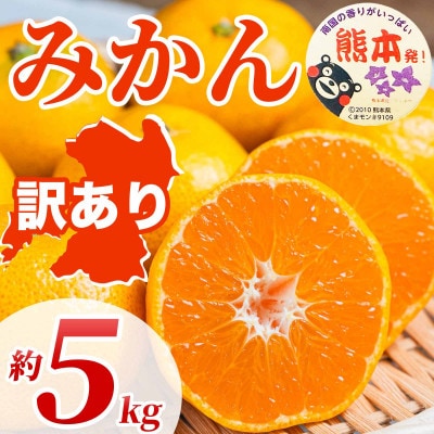 みかん 訳あり サイズミックス 3S-3L 約5kg(和水町)