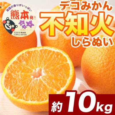 不知火(デコポンと同品種) 24～48玉 約10kg(和水町)