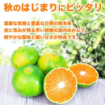 極早生みかん 2S～2L 約3kg(和水町)