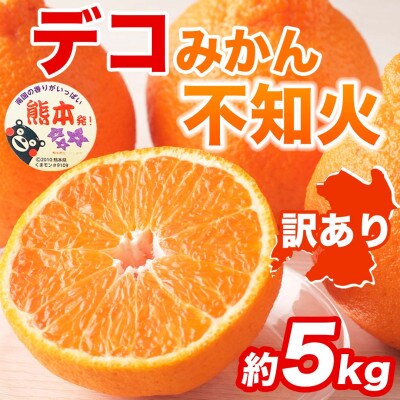 不知火 デコみかん 訳あり 約5kg(和水町)