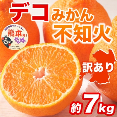不知火 デコみかん 訳あり 約7kg(和水町)