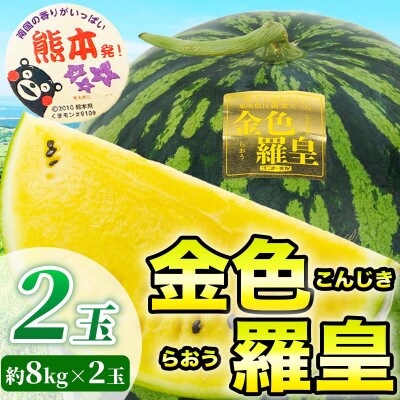 金色羅皇 すいか 3L以上 2玉 約16kg(和水町)