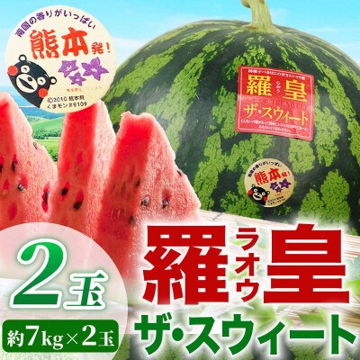羅皇ザ・スウィート すいか 2L以上 2玉 約14kg(和水町)