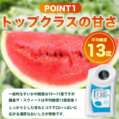羅皇ザ・スウィート すいか 2L以上 2玉 約14kg(和水町)