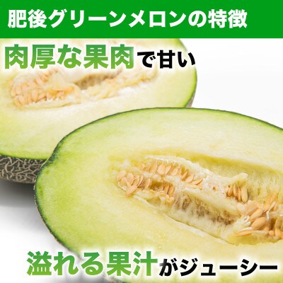 小玉すいか・肥後グリーンメロン食べ比べ合計4玉(2玉×2種類)約7kg(和水町)