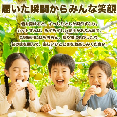 旬の梨 品種おまかせ 5～8玉 約1.8kg(和水町)