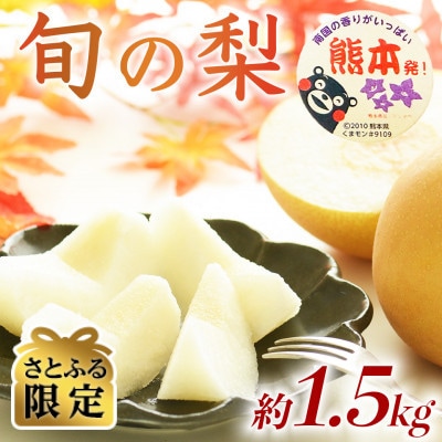 【さとふる限定】数量限定秋のフルーツおすすめ!熊本県産旬の梨(豊水・秋月・新高)約1.5kg 和水町