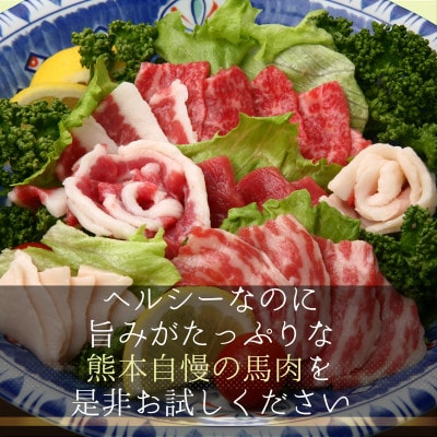 本場熊本の鮮馬刺し 国産馬肉 熊本肥育 赤身 専用醤油付き 小分け 真空パック 100g(和泉町)