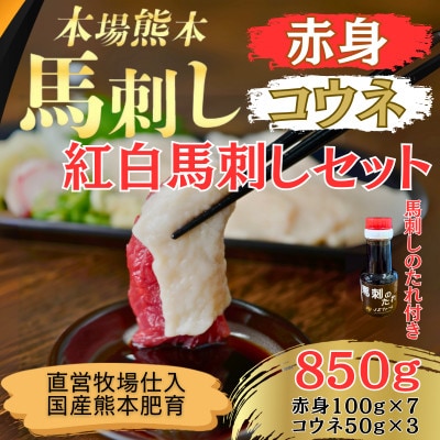 本場熊本の鮮馬刺し 国産 馬肉 熊本 肥育 赤身 コウネ 馬刺 醤油付き 小分け 850g(和水町)