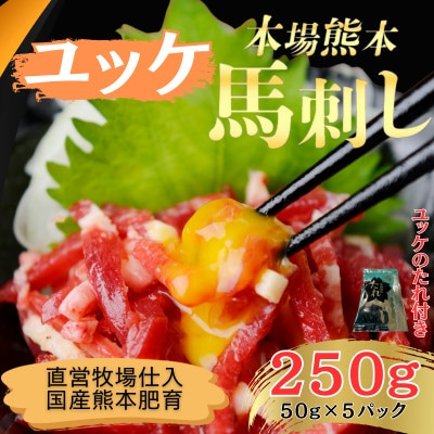 本場熊本の鮮馬刺し 国産馬肉 熊本肥育 馬刺 ユッケ たれ付 小分け 5パック 250g(和水町)