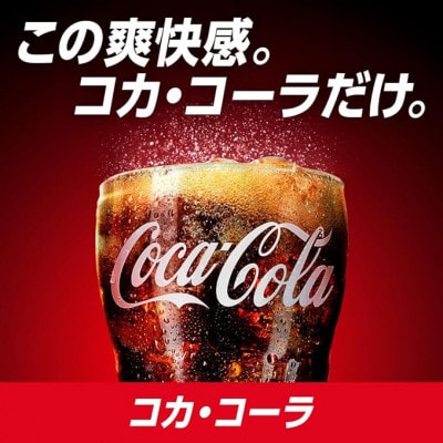 【毎月定期便】コカ・コーラ500mlPET24本入り全3回
