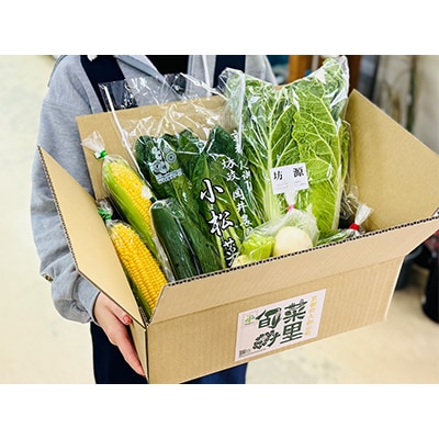 季節の京都府久御山野菜詰合せ