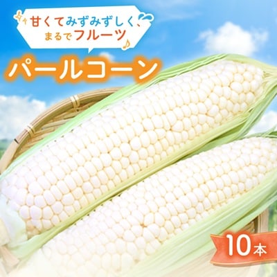 まるでフルーツ 村田農園のパールコーン 10本【大人気の白いとうもろこし(ホワイトコーン)】