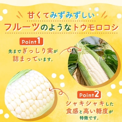 まるでフルーツ 村田農園のパールコーン 10本【大人気の白いとうもろこし(ホワイトコーン)】