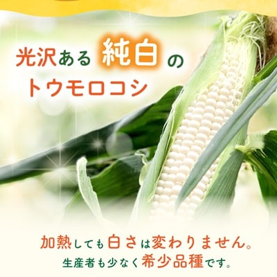 まるでフルーツ 村田農園のパールコーン 10本【大人気の白いとうもろこし(ホワイトコーン)】