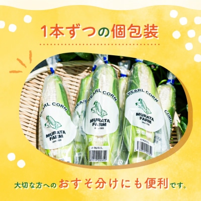 まるでフルーツ 村田農園のパールコーン 10本【大人気の白いとうもろこし(ホワイトコーン)】