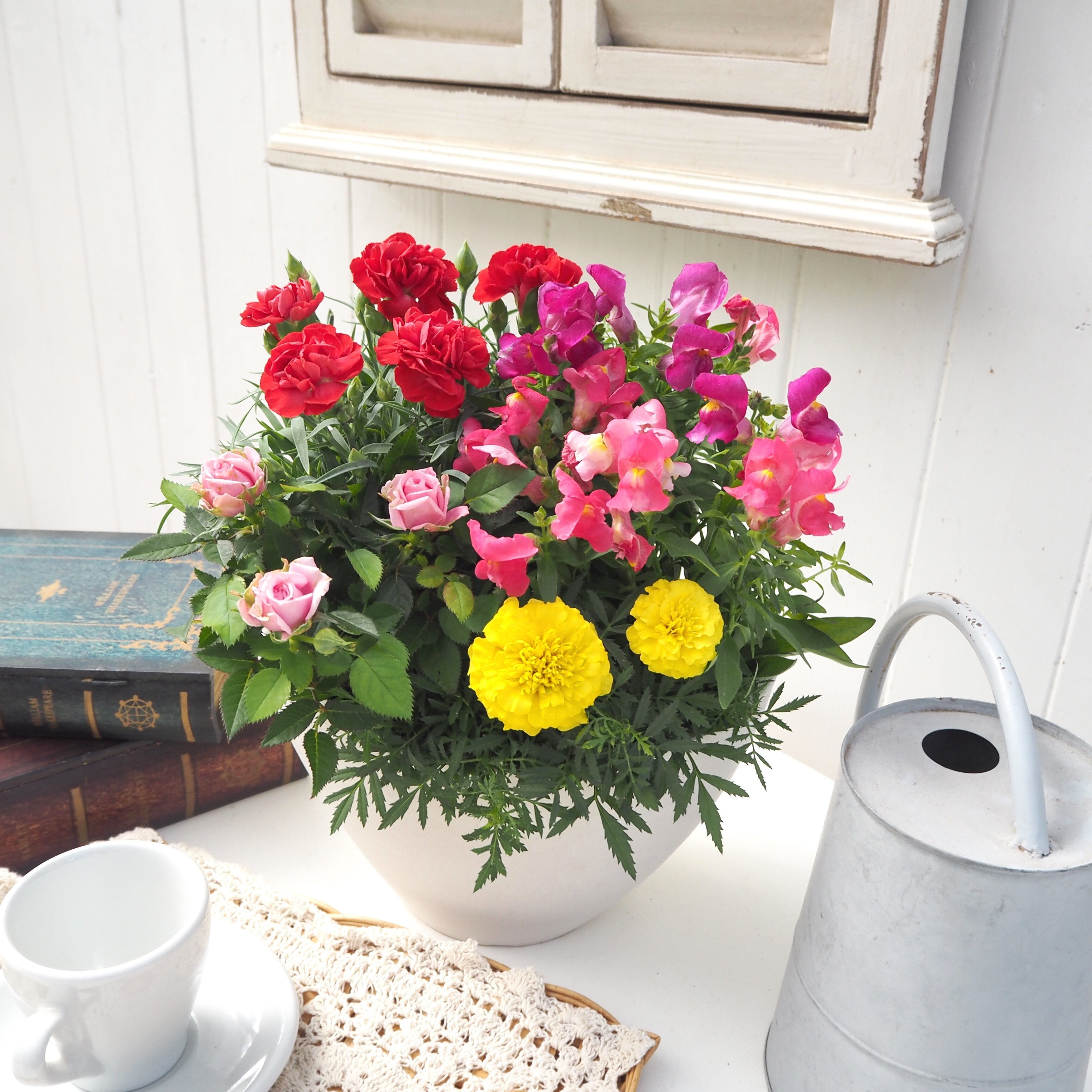 【先行受付】2026年 母の日 フラワーギフト 寄せ植え 鉢植え カーネーション 京都府久御山町