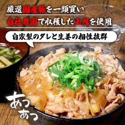 自家製 生姜焼き丼の具 150g×10食分