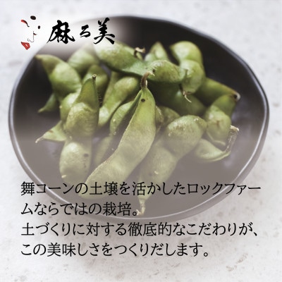 京都府産 黒枝豆 麻ろ美BOX 約1kg(500g×2袋)　ロックファーム京都