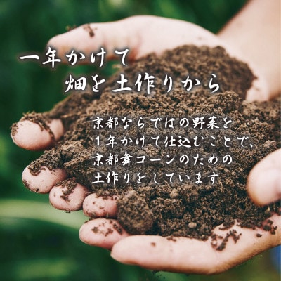 【秋出荷】ミシュラン店多数採用!京都産 白いとうもろこし 京都舞コーン 10本 朝採れ
