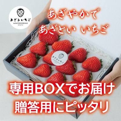 【2027年1月～順次出荷】あざといちご贈答用　8.9.11粒のいずれか×2P　ロックファーム京都