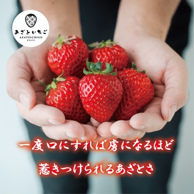 【2027年1月～順次出荷】あざといちご贈答用　8.9.11粒のいずれか×2P　ロックファーム京都