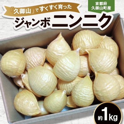 ジャンボニンニク　約1kg
