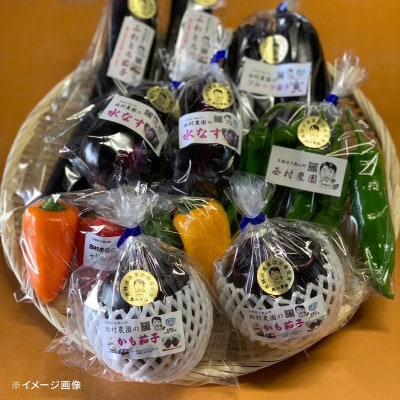 【京野菜】西村農園の旬の野菜詰め合わせ　6～10種類