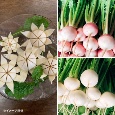 【京野菜】西村農園の旬の野菜詰め合わせ　6～10種類