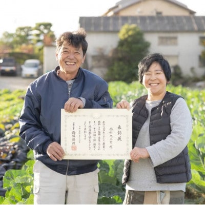 【京野菜】西村農園の旬の野菜詰め合わせ　6～10種類