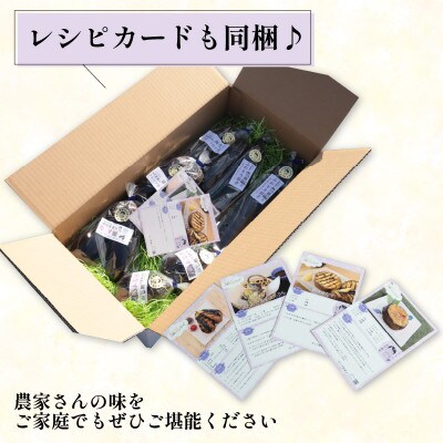 なす4種類おまかせ20本!(水なす・フルーツなす・千両なす・ふわとろ長なす)