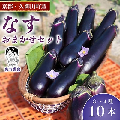 なす3~4種類おまかせ10本!(水なす・フルーツなす・千両なす・ふわとろ長なす)