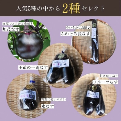 なす2種類おまかせ5本!(賀茂なす・水なす・フルーツなす・千両なす・ふわとろ長なす)