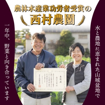 【令和8年産米】【無洗米】先行受付　京都府久御山町産 一等米のお米 ヒノヒカリ 5kg