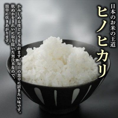 【令和8年産米】【無洗米】先行受付　京都府久御山町産 一等米のお米 ヒノヒカリ 5kg