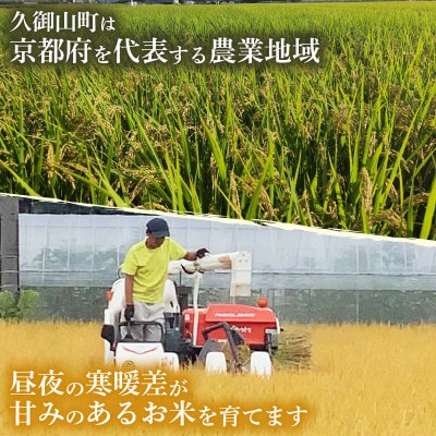 【令和8年産米】【無洗米】先行受付　京都府久御山町産 一等米のお米 ヒノヒカリ 5kg