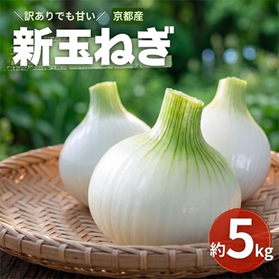 【訳アリ】たまねぎ 5kg　京都府久御山町産