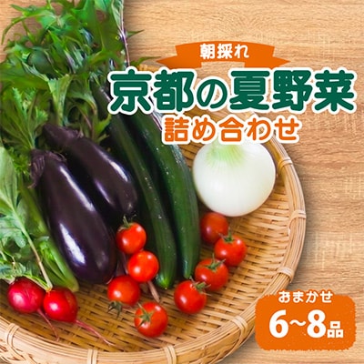夏野菜 6～8種 セット　京都府久御山町