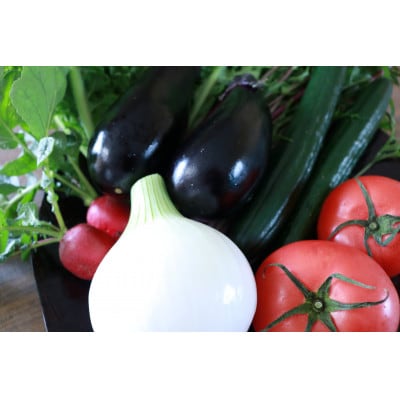 夏野菜 6～8種 セット　京都府久御山町