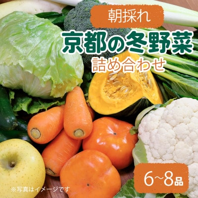 京都 朝採れ 冬野菜セット 6～8種