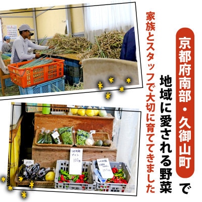 京都 朝採れ 冬野菜セット 6～8種