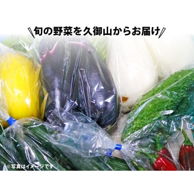 【発送月固定定期便】夏冬の野菜6～8種セット全2回