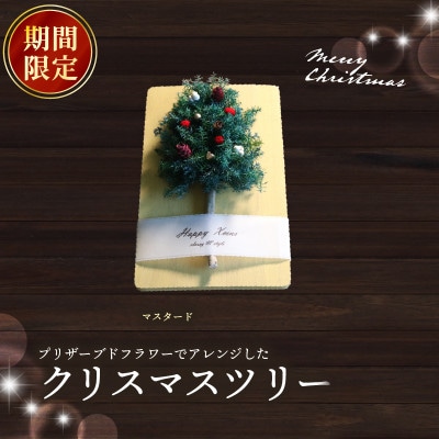 【期間限定】クリスマスツリー(マスタード)