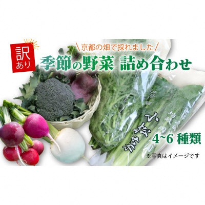 訳あり　季節の野菜セット4～6品詰め合わせ